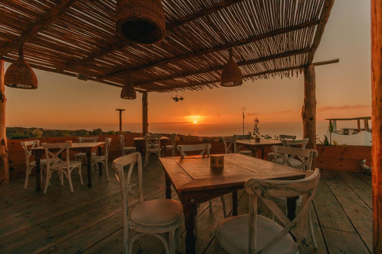 Nest Baja San José del Cabo Exterior foto